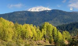 "Anadolu'nun yüce dağı" Ilgaz'da iki mevsim aynı anda yaşanıyor