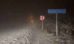 Kar yağışı Kastamonu'yu etkisi altına almaya başladı