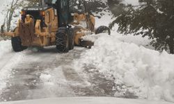 Bolu ve Bartın'da kar nedeniyle kapanan 150 köy yolu ulaşıma açıldı