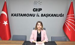 Kastamonu CHP'den kadın cinayetlerine sert tepki