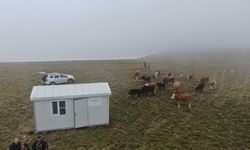 Çoban evleri, mesleği cazip hale getiriyor