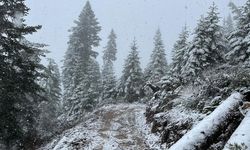 Kastamonu'nun yüksek kesimleri kara teslim