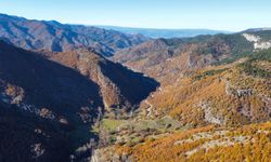 Kastamonu ormanlarında sonbahar güzelliği