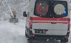 Kastamonu'da ekiplerden hayat kurtaran "mücadele"