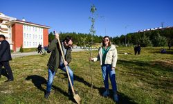 Kastamonu Üniversitesi'nde 100 fidan toprakla buluşturuldu