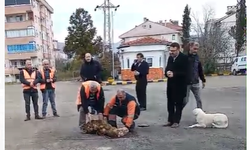 Cide’de sorunsuz bir kış sezonu için kurban kesildi