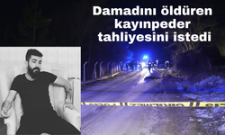 Kastamonu'da damadını öldüren kayınpeder “Pişmanım” dedi