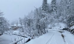 Karadeniz'de kar hayatı olumsuz etkiledi