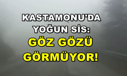 Kastamonu genelinde yoğun SİS! Yetkililer uyardı…