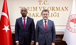 Kastamonulu Bakan Somalili mevkidaşı ile bir araya geldi