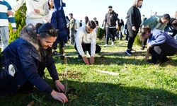 Kastamonu'nun doğa harikaları lavanta turizmi ile taçlanıyor