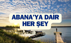 Abana nerede? Kastamonu-Abana arası kaç km?