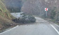 Heyelan İnebolu-Doğanyurt yolunu ulaşıma kapattı!