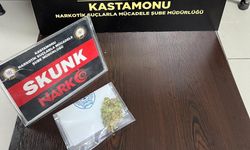 Skunk maddesi ele geçirildi!