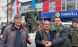 Cide ve Şenpazar'da ücretsiz fidan dağıtıldı