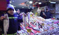 7 sezonda bir geliyor! Balıkçılar bolluktan memnun