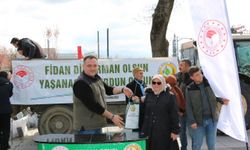 Düzce’de Orman İşletme, 5 bin adet fidan dağıttı