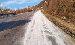 Kastamonu'da yola dökülen gübre köylüyü tedirgin etti