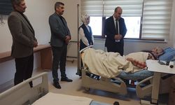 Müdür Derdiyok, Küre'de incelemelerde bulundu