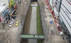 Kastamonu'da 'yol boyu park' yasaklandı!