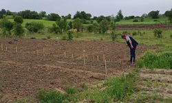 Kastamonu Tarımsal Yatırım Rehberi yayımlandı