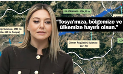 21 bin kişiye istihdam sağlayacak pirinç ovası suya kavuşuyor