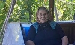 Cide’de Huriye Dere hakka yürüdü