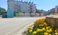 Taşköprü'de festival heyecanı başladı