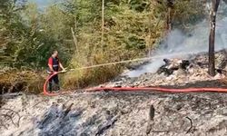 Cide'de yanan evden iki kardeş yaralı kurtuldu