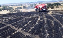 Buğday tarlasında yangın, 15 dönüm zarar gördü