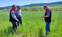 Kastamonu'da 38 bin 580 parsel tarım arazisi denetlendi