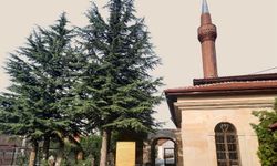 Şeyh Ahmed Siyâhî ve Şeyh Ahmed Hicâbî anılacak