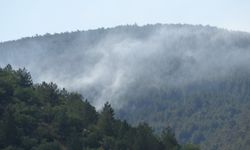 Ilgaz'daki orman yangını kontrol altında!