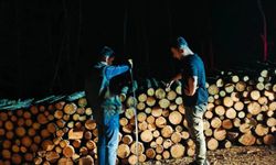Kastamonu ormanlarında gece denetimi