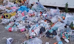 Kastamonu sahili çöplüğe döndü!
