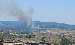 Kastamonu’daki yangına havadan müdahale