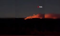 Ilgaz Dağı’nda orman yangını çıktı: Ekipler seferber oldu!