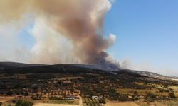 Şarköy’deki orman yangınına Kastamonu’dan destek