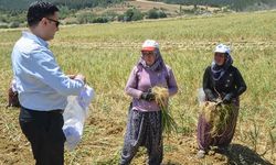 Taşköprü sarımsak tarlasında anlamlı buluşma