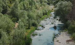 Tosya'da Devrez Çayı can çekişiyor