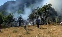 Ormanda yangın çıktı, köylü seferber oldu!
