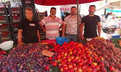 Yaz geldi, Salı Pazarı'nda fiyatlar düştü