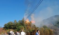 Azdavay-Cide yolunda aynı gün ikinci yangın!
