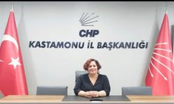 CHP Kastamonu Kadın Kolları: "Kadınları koruyamayanlar, o koltuklardan inecek!"