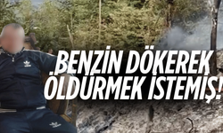 Cide'deki yangında kundaklama iddiası!
