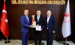 Tarım ve Orman Bakanı Yumaklı, Taşköprü Sarımsak Festivali’ne geliyor