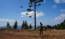 Kastamonu ormanları yangınlardan işte böyle korunuyor