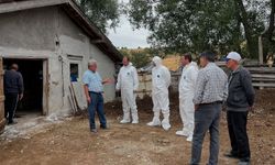 Tosya’da şap alarmı ekipleri harekete geçirdi