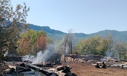 Cide’de samanlıklar alevlere teslim oldu