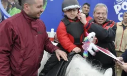 Kastamonulu 'İtilmiş' yarış pistlerinden milyonlar kazanıyor